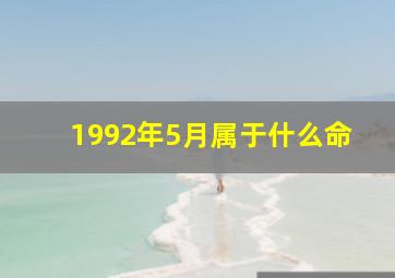 1992年5月属于什么命