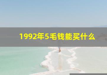 1992年5毛钱能买什么