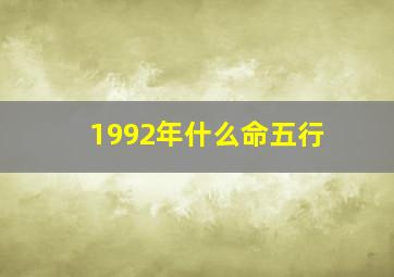 1992年什么命五行