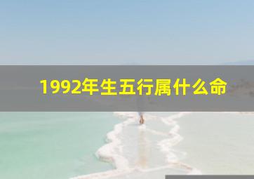 1992年生五行属什么命