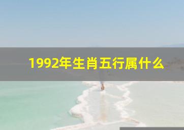 1992年生肖五行属什么