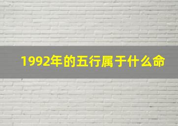 1992年的五行属于什么命