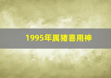 1995年属猪喜用神