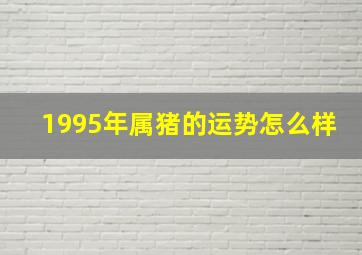 1995年属猪的运势怎么样