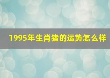 1995年生肖猪的运势怎么样