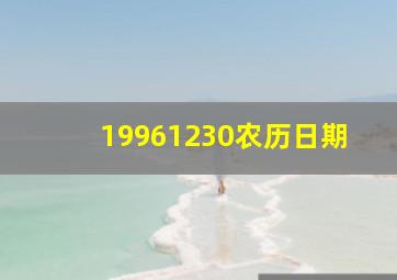 19961230农历日期