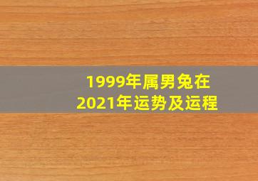 1999年属男兔在2021年运势及运程