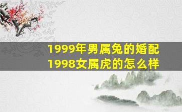 1999年男属兔的婚配1998女属虎的怎么样