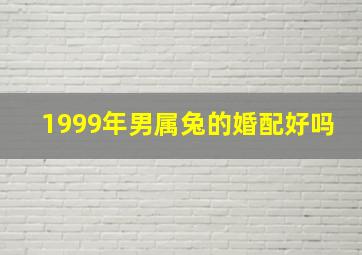 1999年男属兔的婚配好吗