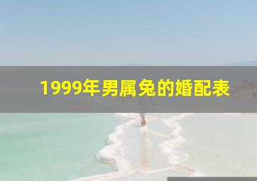 1999年男属兔的婚配表