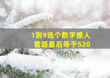 1到9选个数字撩人套路最后等于520