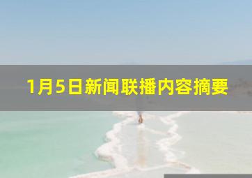 1月5日新闻联播内容摘要