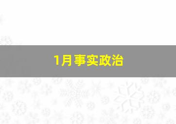 1月事实政治