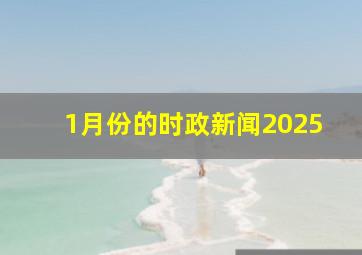 1月份的时政新闻2025