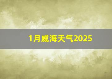 1月威海天气2025