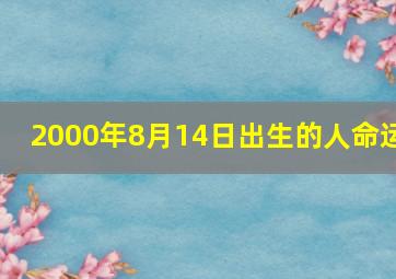 2000年8月14日出生的人命运