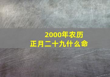 2000年农历正月二十九什么命