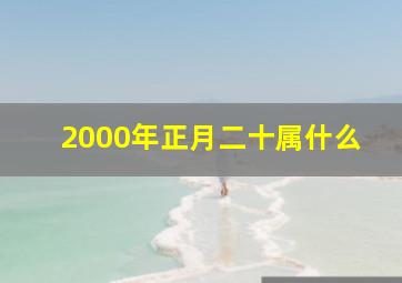 2000年正月二十属什么