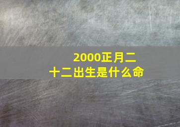 2000正月二十二出生是什么命