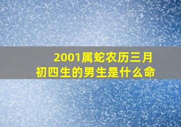 2001属蛇农历三月初四生的男生是什么命