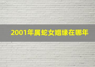 2001年属蛇女姻缘在哪年