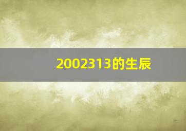 2002313的生辰