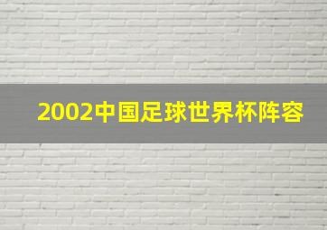 2002中国足球世界杯阵容