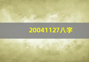 20041127八字