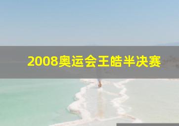 2008奥运会王皓半决赛