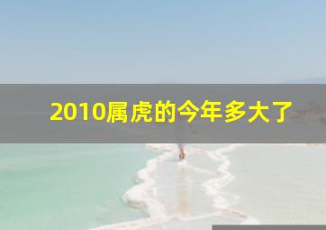 2010属虎的今年多大了