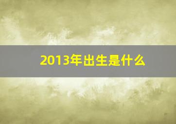 2013年出生是什么