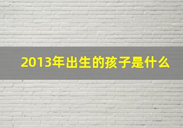 2013年出生的孩子是什么