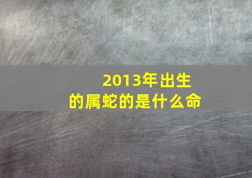 2013年出生的属蛇的是什么命