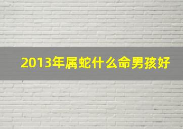 2013年属蛇什么命男孩好