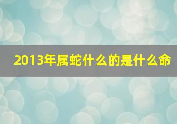 2013年属蛇什么的是什么命