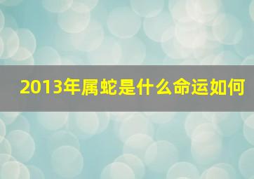 2013年属蛇是什么命运如何