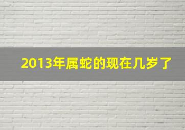 2013年属蛇的现在几岁了