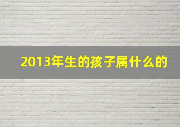 2013年生的孩子属什么的