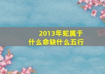 2013年蛇属于什么命缺什么五行