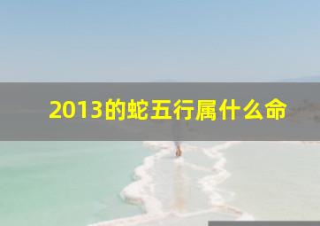 2013的蛇五行属什么命