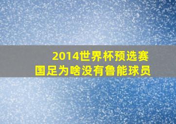 2014世界杯预选赛国足为啥没有鲁能球员