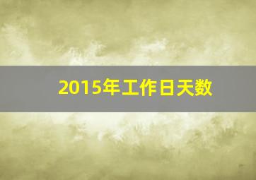 2015年工作日天数