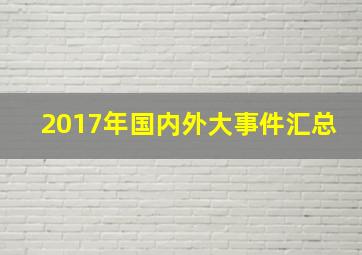 2017年国内外大事件汇总