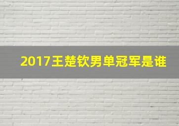 2017王楚钦男单冠军是谁