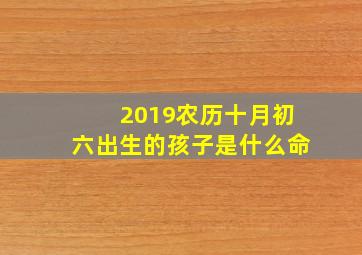 2019农历十月初六出生的孩子是什么命