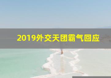 2019外交天团霸气回应