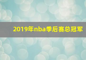 2019年nba季后赛总冠军