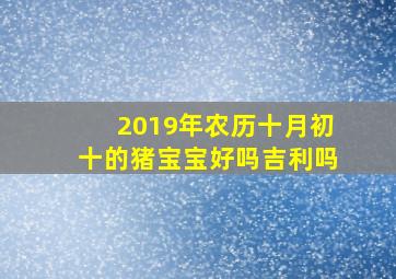 2019年农历十月初十的猪宝宝好吗吉利吗