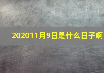 202011月9日是什么日子啊