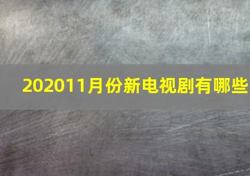 202011月份新电视剧有哪些